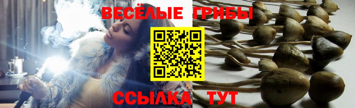цены наркотик  Вход с VPN  Богородицк  Псилоцибиновые грибы GOLDEN TEACHER  Галлюциногенные грибы ЛСД 